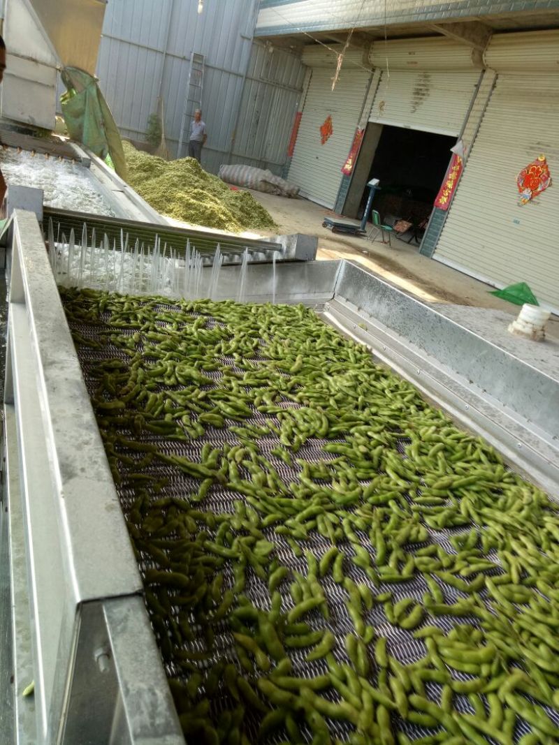 翠绿宝大量上市了，需要的朋友通过一亩田毛豆12~18克