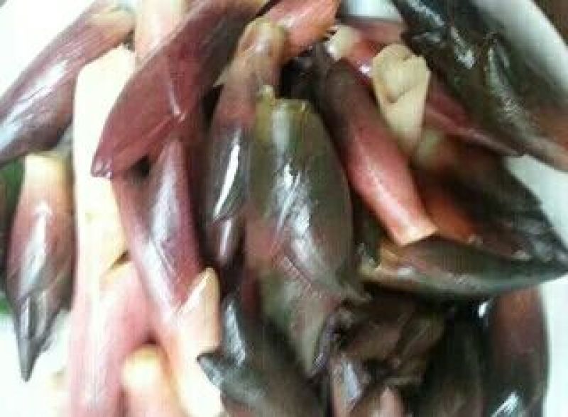 襄荷