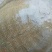 野生甲鱼2~2.5斤