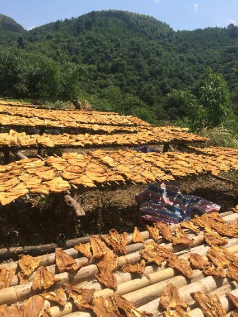 笋干淡笋干
