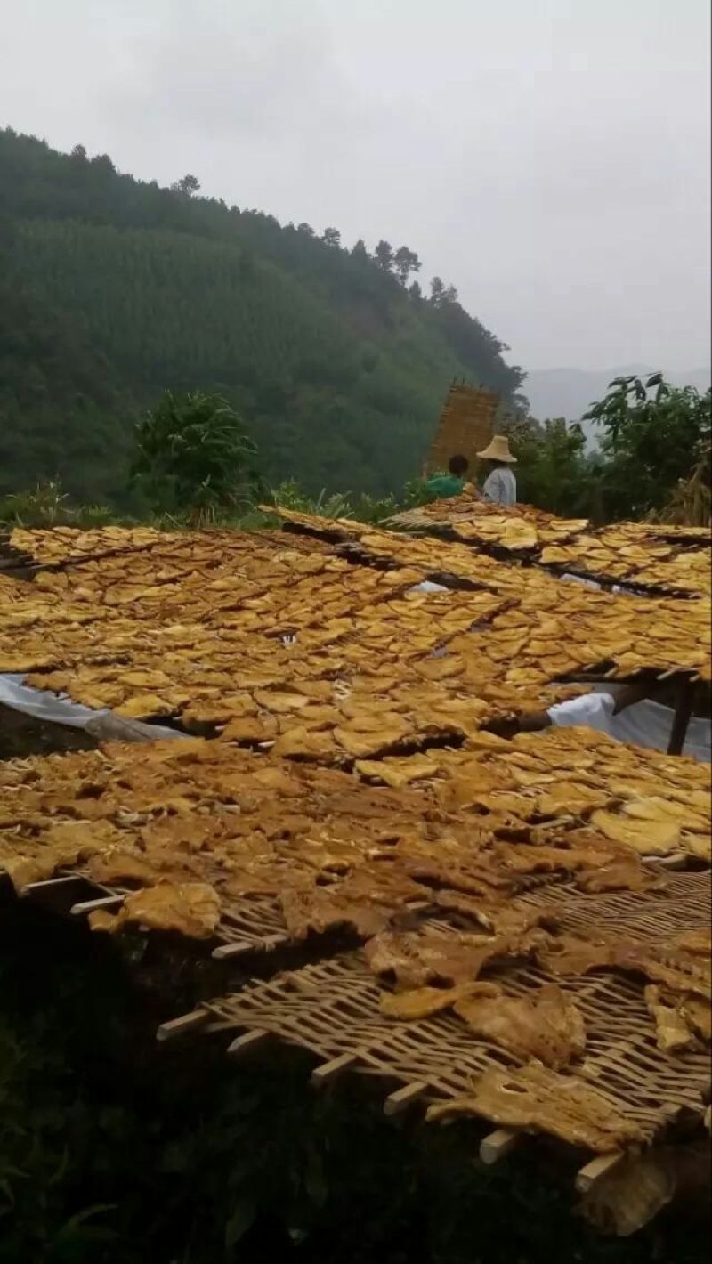 笋干淡笋干