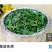 面条菜10cm以下