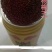 东魁杨梅2.5~3cm