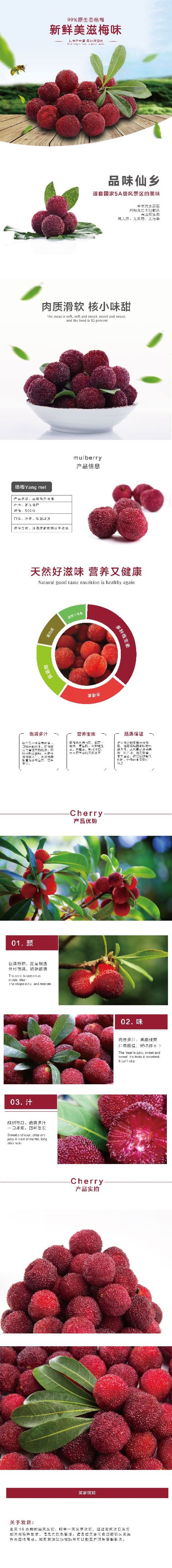 东魁杨梅2.5~3cm