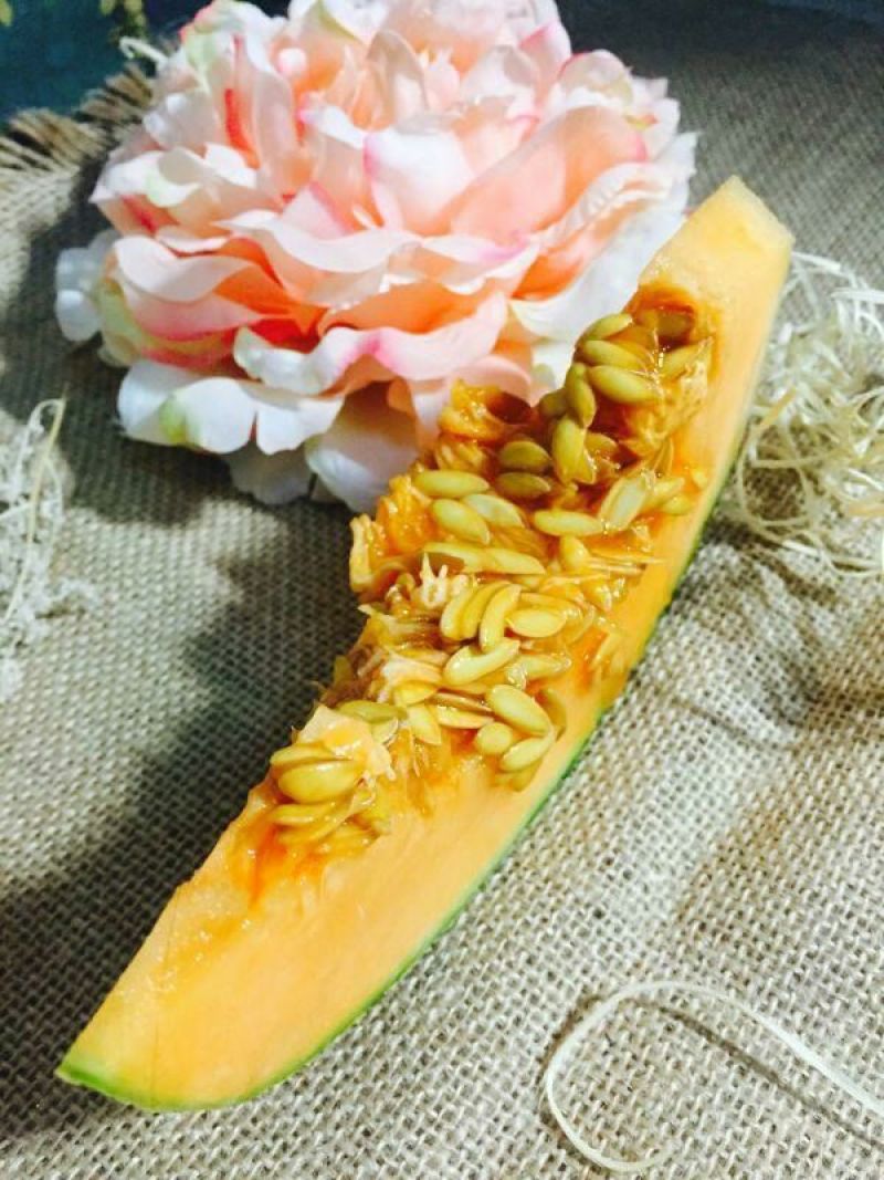 西州蜜瓜3斤以上椭圆形