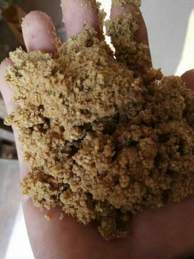 酒糟