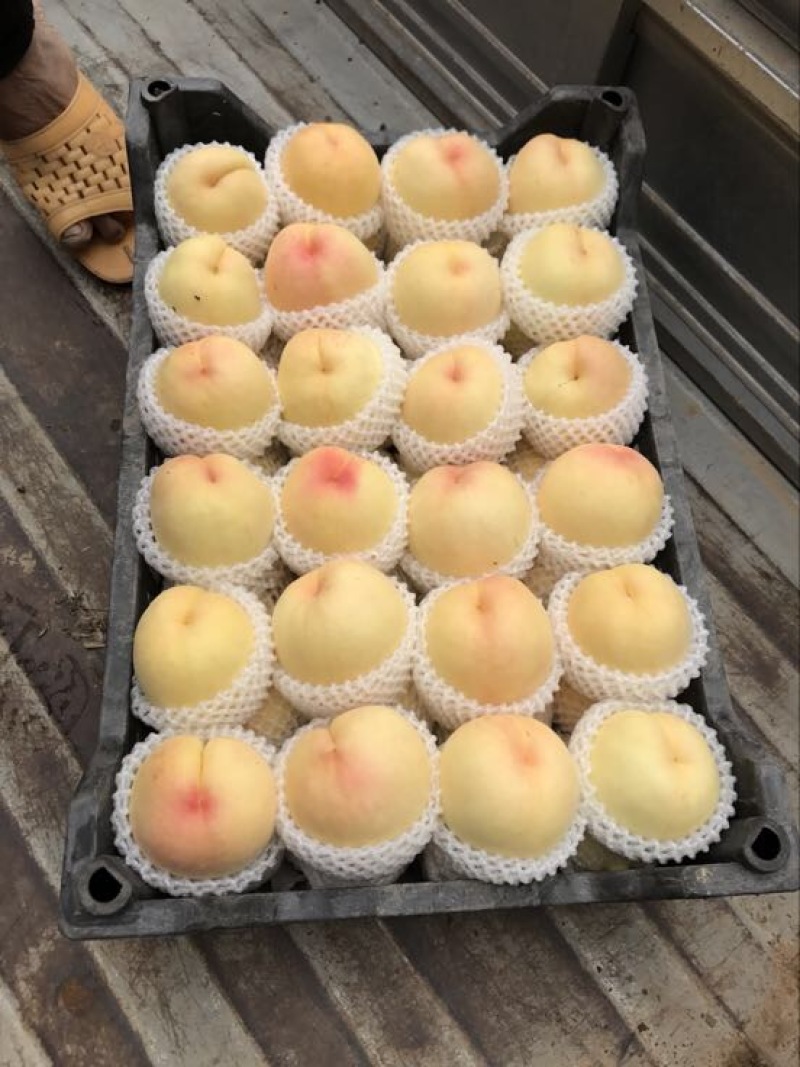 精品千亩套袋红不软大量上市
