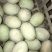 散养蛋鸭只吃玉米蛋壳好味道美，蛋清稠