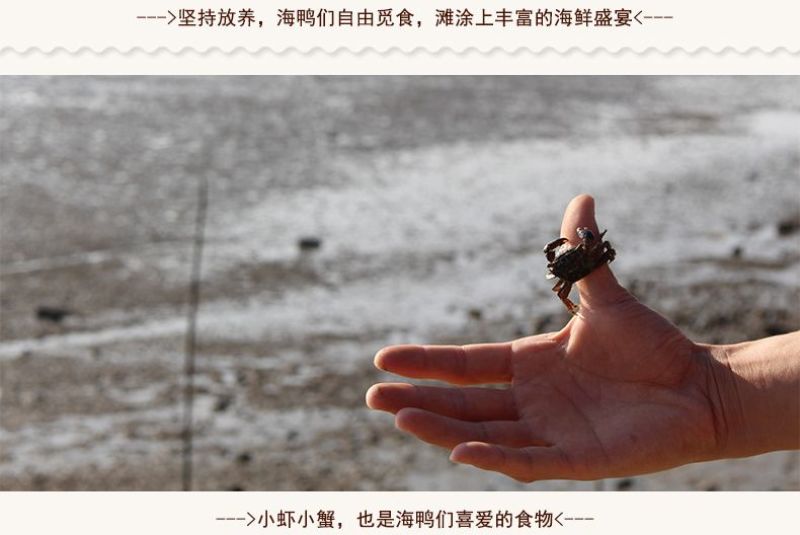 烤鸭蛋30枚装烤海鸭蛋包邮