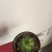 绿竹