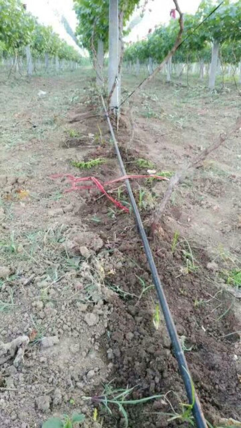 滴灌带HDPE