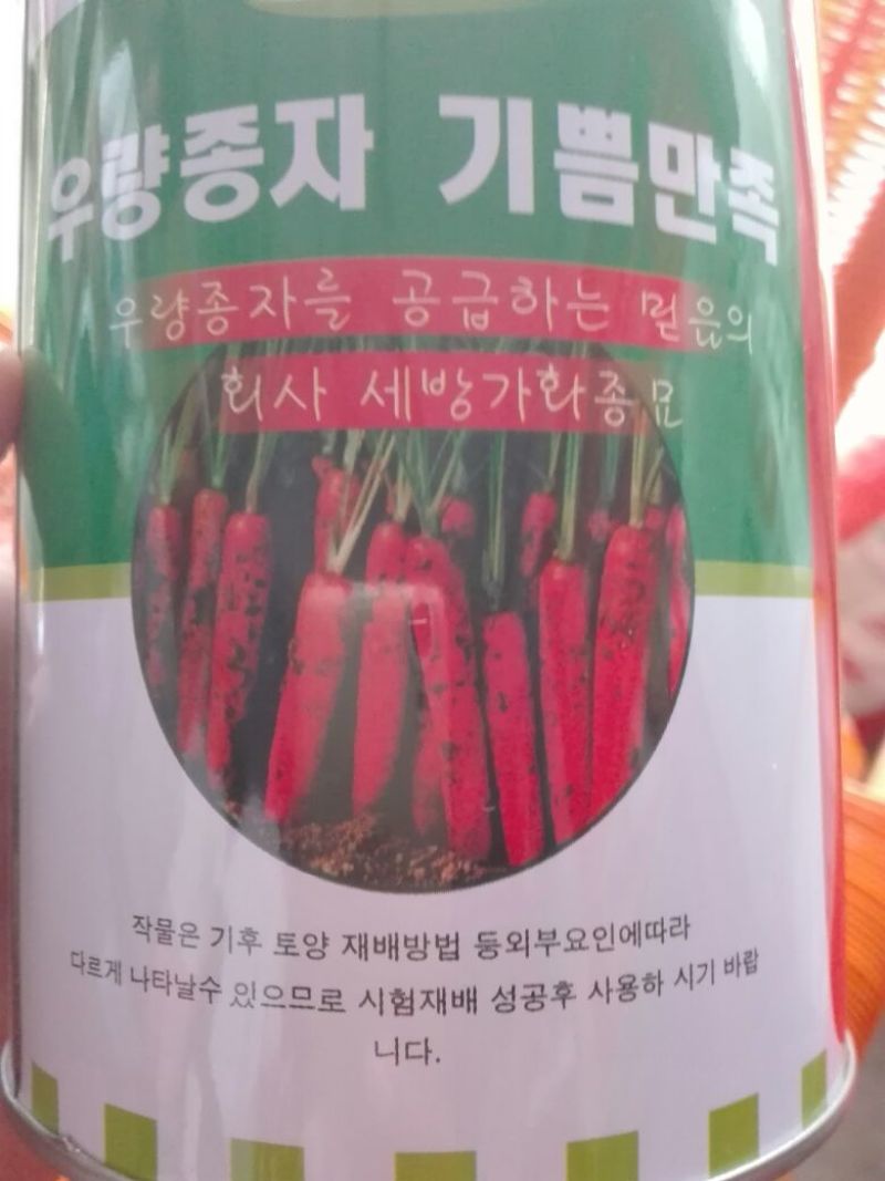 胡萝卜种子