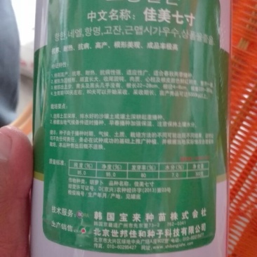 胡萝卜种子