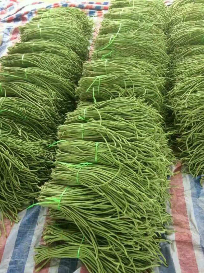 长豆角60厘米以上