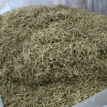 金银花色青花