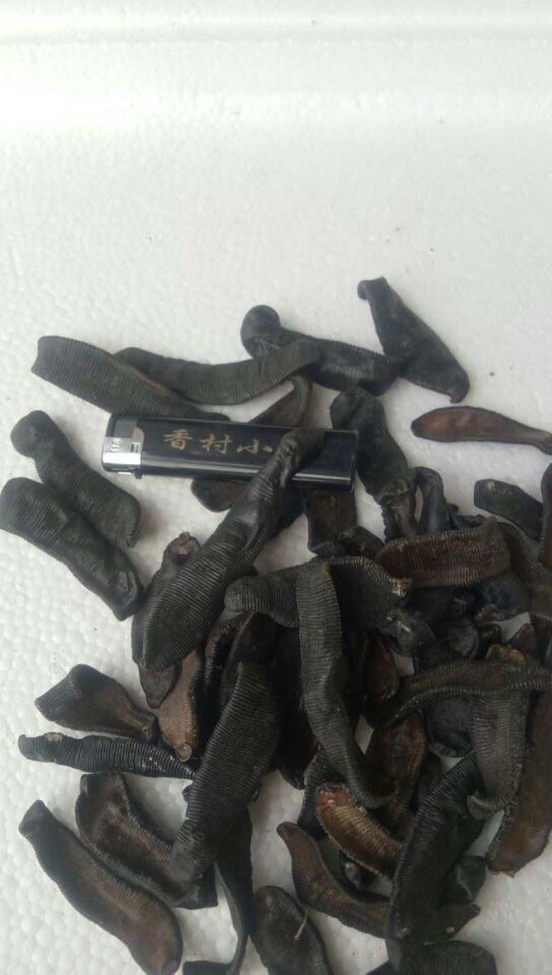 宽体金线蛭药用