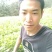 鱼腥草根箱
