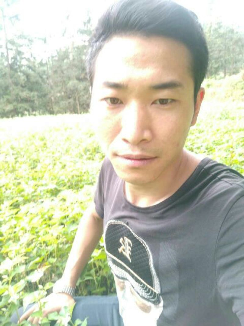 鱼腥草根箱