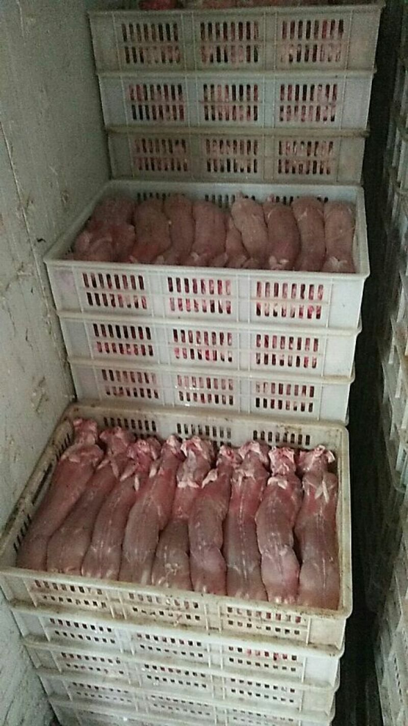 兔肉食用1~3