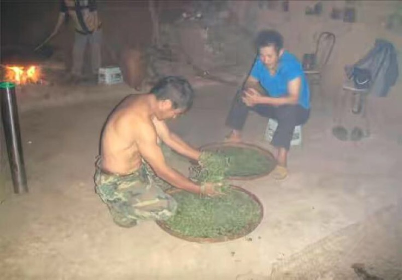 普洱茶