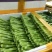 迟菜心10~15厘米