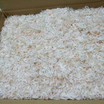虾皮特级