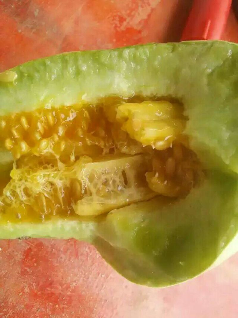 羊角蜜甜瓜通货1斤以上