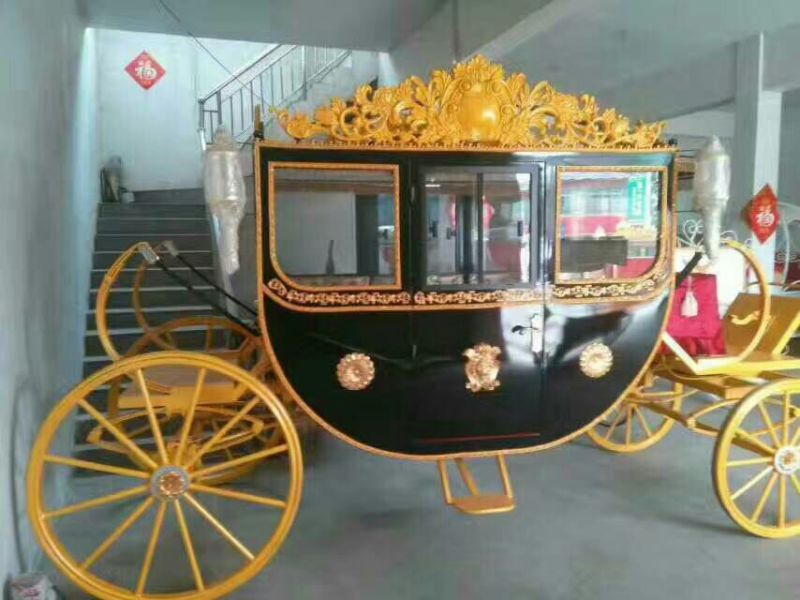 矮马100~200kg