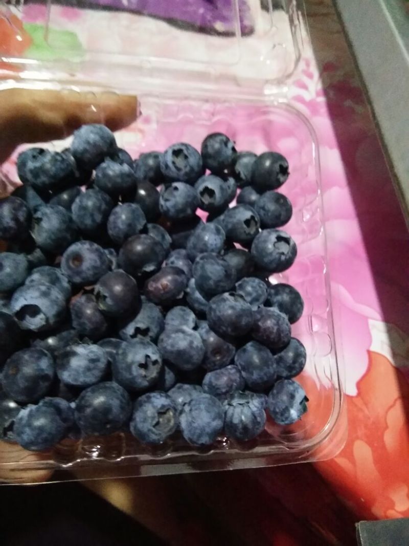蓝丰蓝莓鲜果6~8mm以上