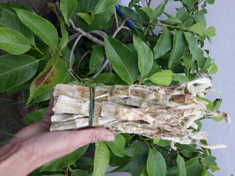 水煮笋干咸笋干