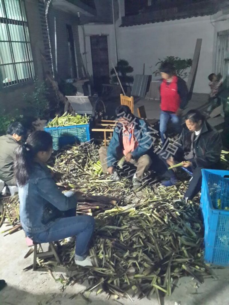 水煮笋干咸笋干