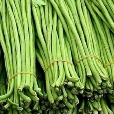 青条豆角大量上市60厘米以上颜色好欢迎咨询采购