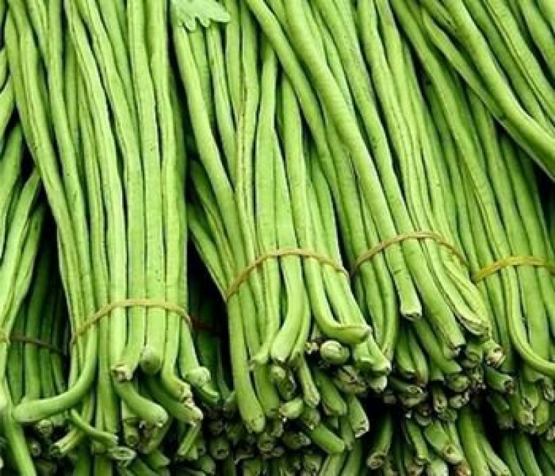 青条豆角大量上市60厘米以上颜色好欢迎咨询采购