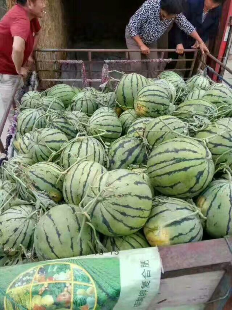 小徐专业的团队，主营，安徽，江苏东台，甘肃，宁夏银川，东