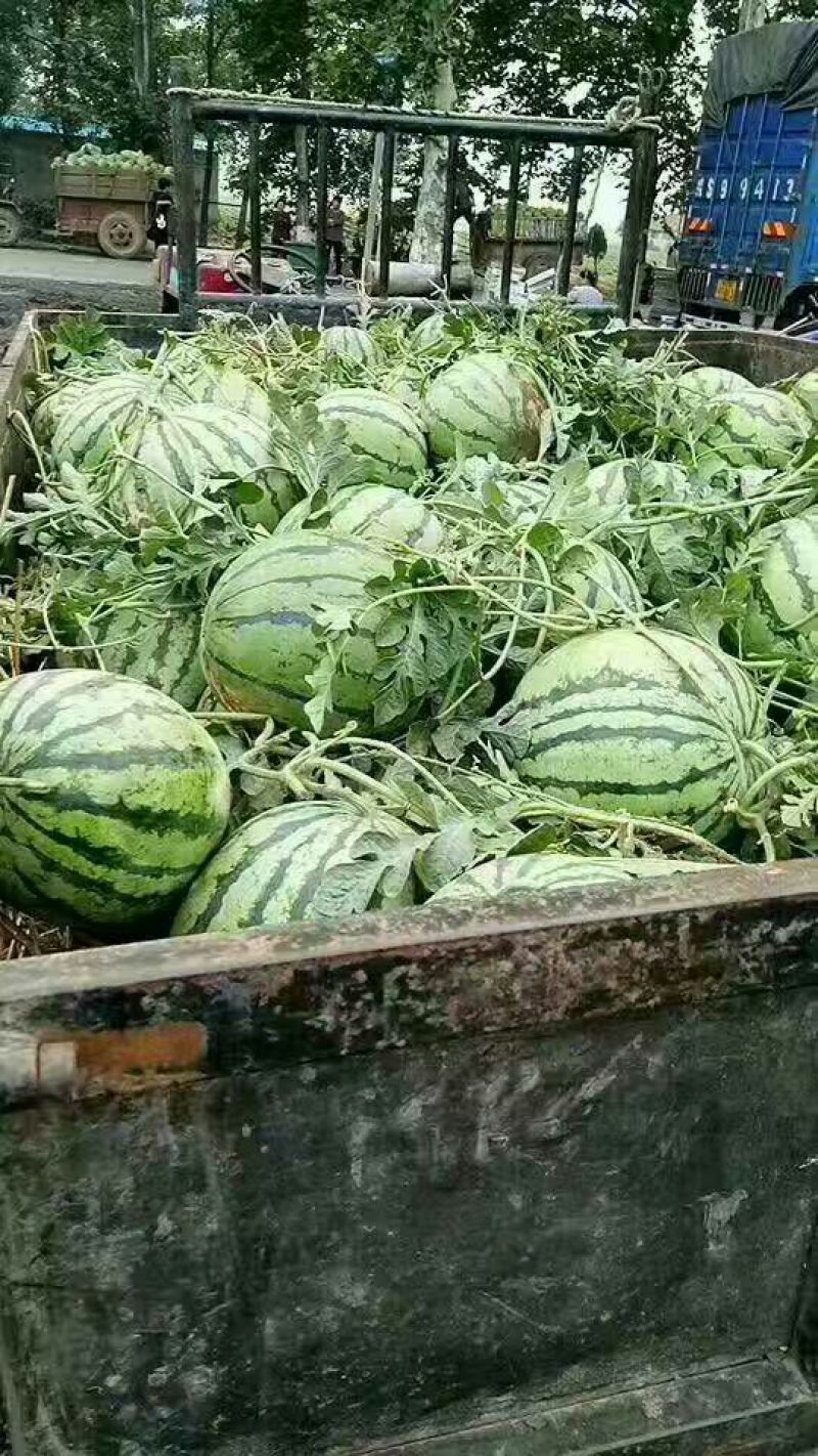 小徐专业的团队，主营，安徽，江苏东台，甘肃，宁夏银川，东