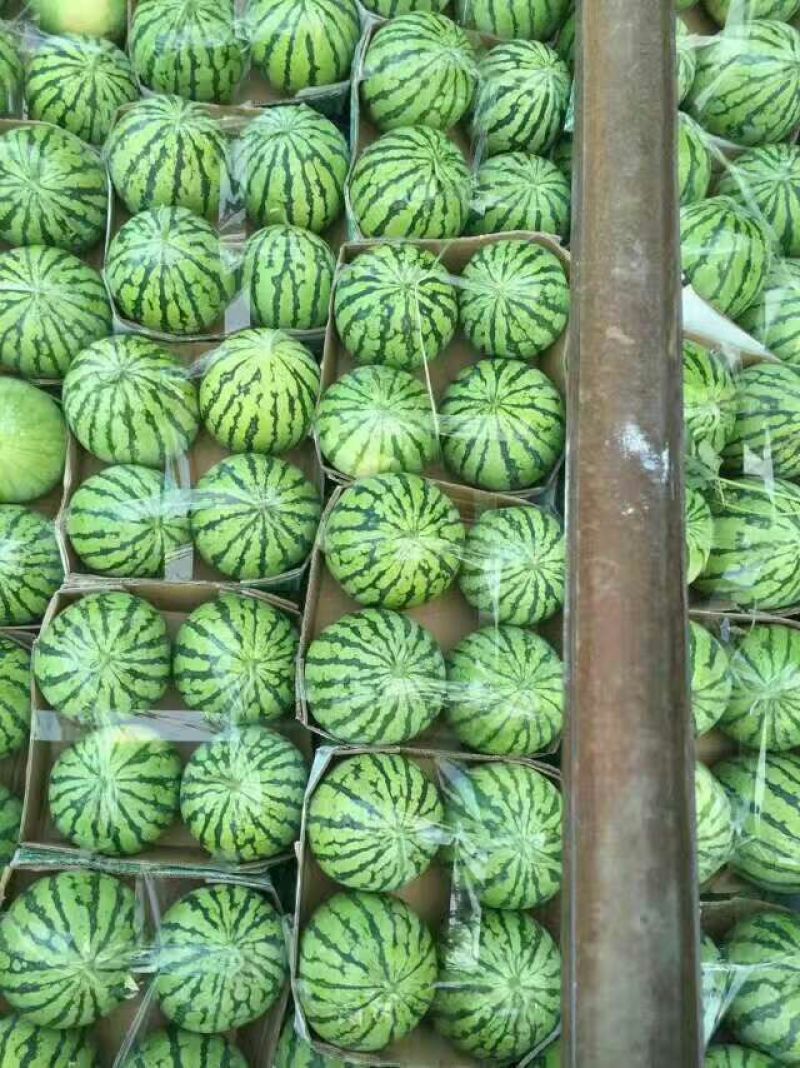 小徐专业的团队，主营，安徽，江苏东台，甘肃，宁夏银川，东