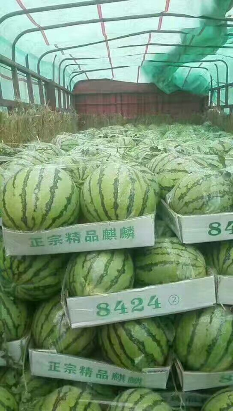 小徐专业的团队，主营，安徽，江苏东台，甘肃，宁夏银川，东