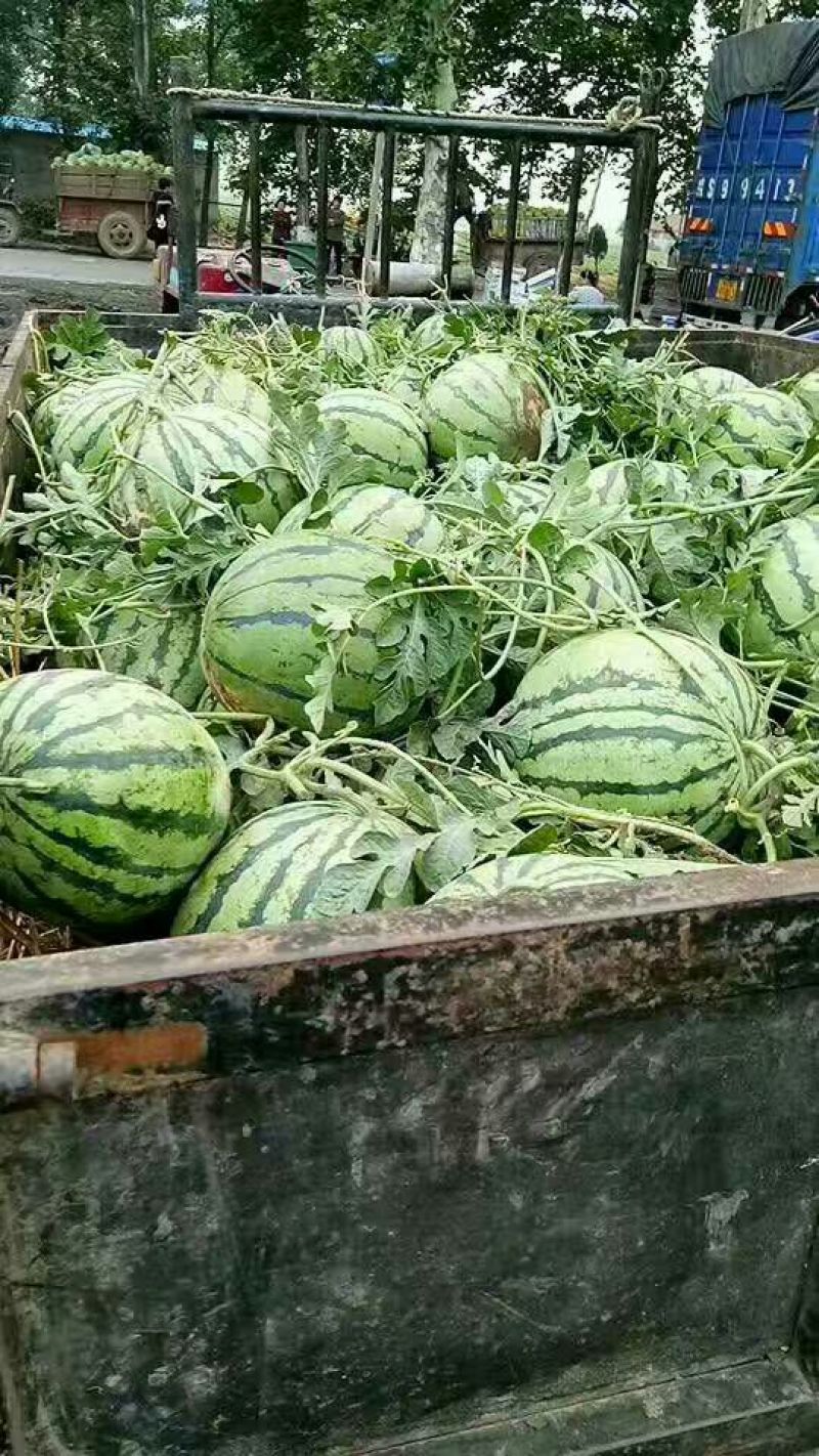 小徐专业的团队，主营，安徽，江苏东台，甘肃，宁夏银川，东