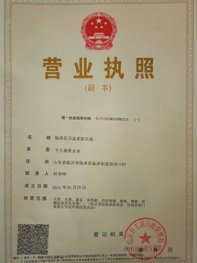 蓝丰蓝莓鲜果12~14mm以上
