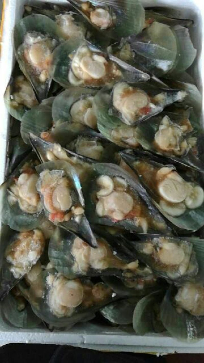 阿根廷红虾L1