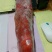 阿根廷红虾L1