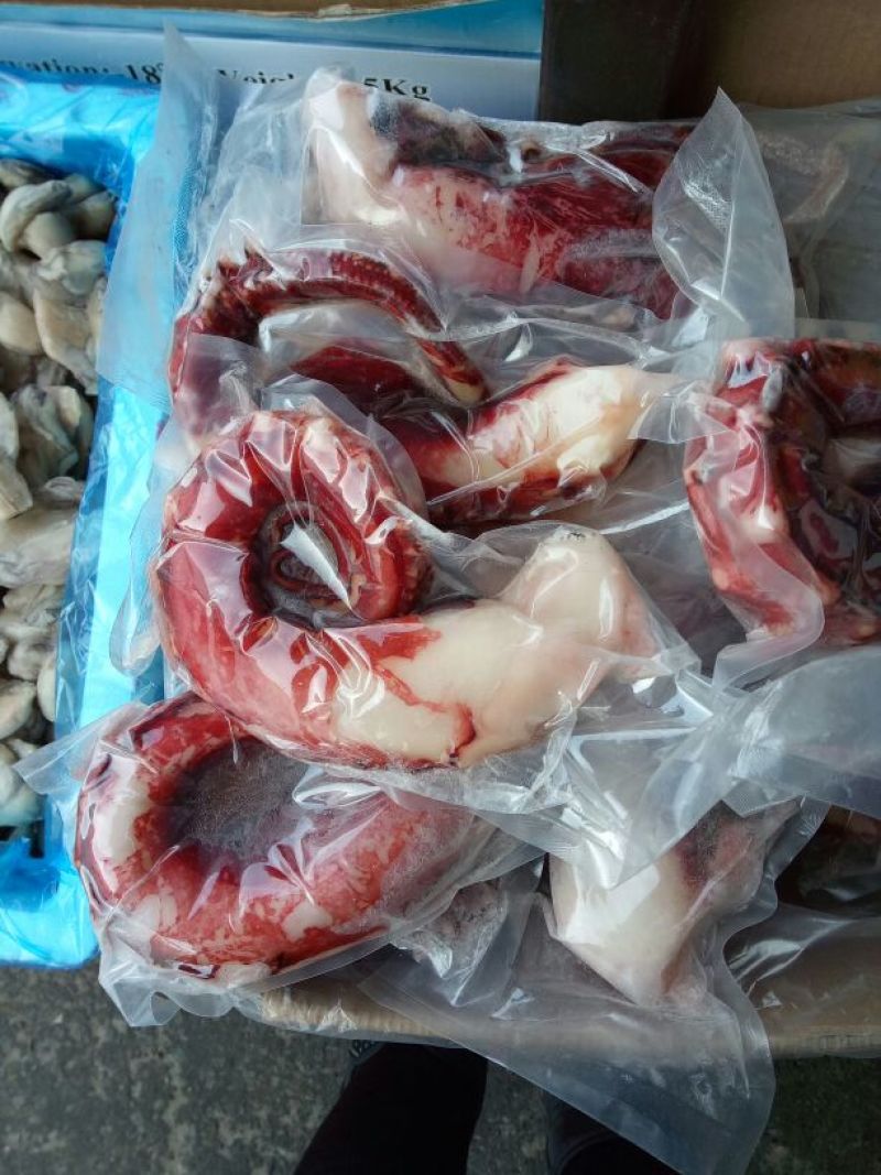 阿根廷红虾L1