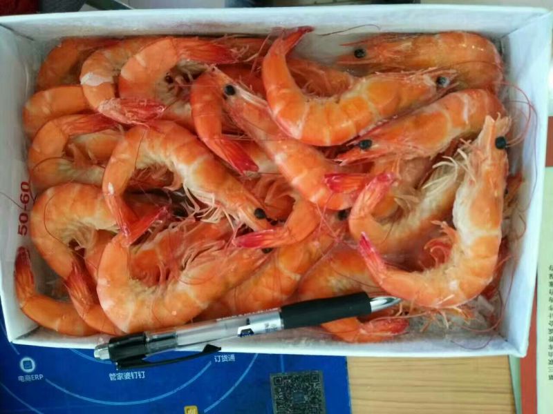 阿根廷红虾L1