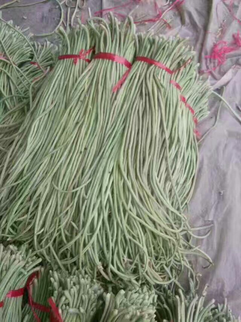 长豆角60厘米以上大量有货需要联系