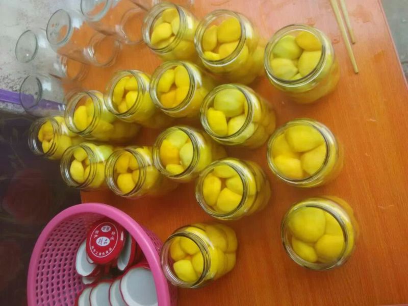 83黄桃4两起精品黄桃，罐头厂黄桃，电商代发