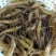基围虾食用活虾