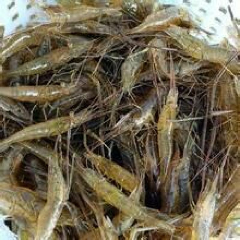 基围虾食用活虾