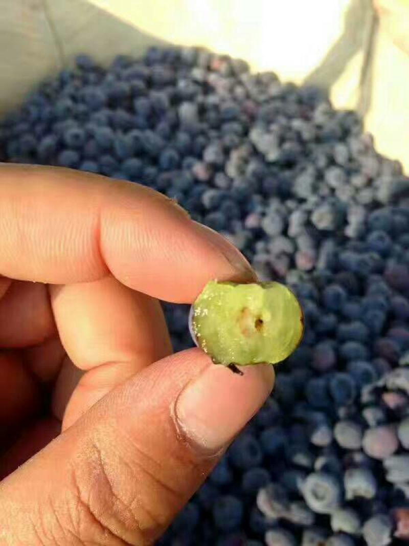 蓝丰蓝莓鲜果4~6mm以上