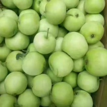 辽伏青苹果【全国发货】口感酸甜果味十足量大质优