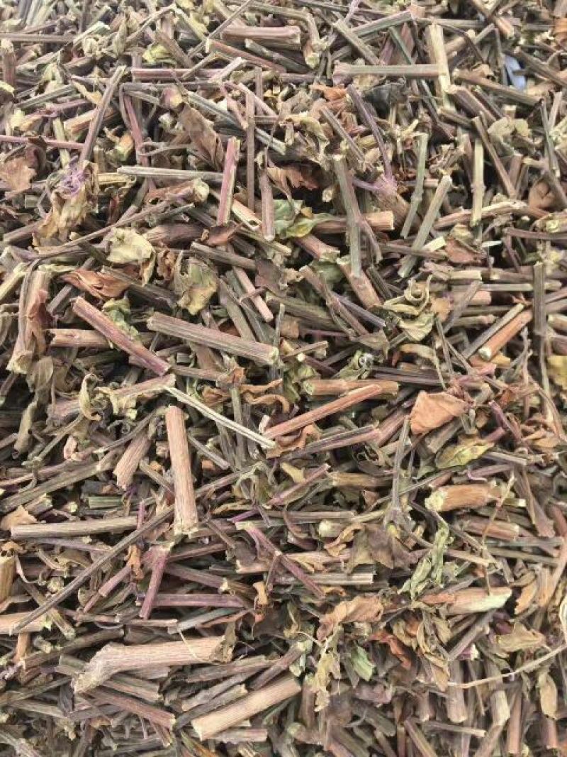 猫须草猫须公肾茶化石草中药材批发零售大货供应物美价廉